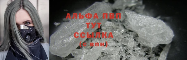 дмт Абаза