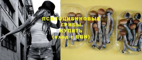 трава Алзамай