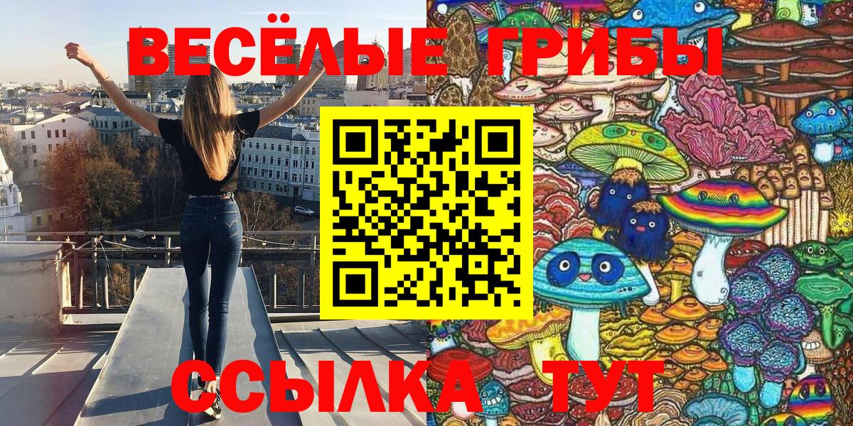 Красноуфимск  Псилоцибиновые грибы Psilocybine cubensis  Вход с VPN 